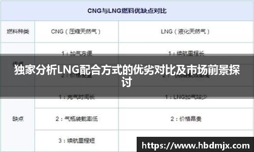 独家分析LNG配合方式的优劣对比及市场前景探讨
