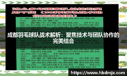 成都羽毛球队战术解析：聚焦技术与团队协作的完美结合