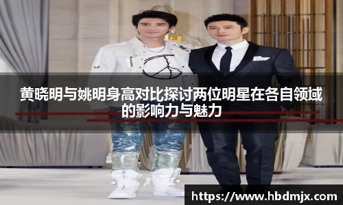 黄晓明与姚明身高对比探讨两位明星在各自领域的影响力与魅力