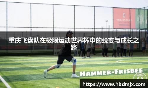 emc易倍体育