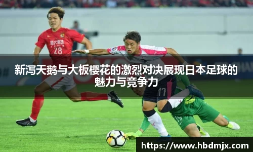 emc易倍体育