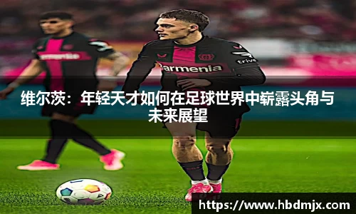 emc易倍体育
