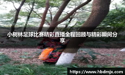 emc易倍体育