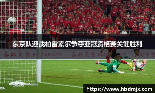 emc易倍体育